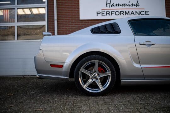 grijze mustang (20)_1600x1067