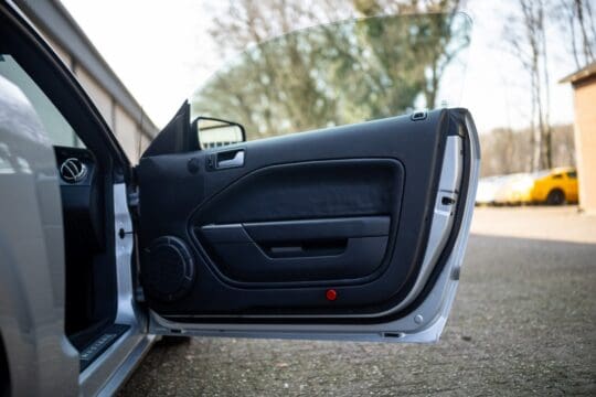 grijze mustang (22)_1600x1067