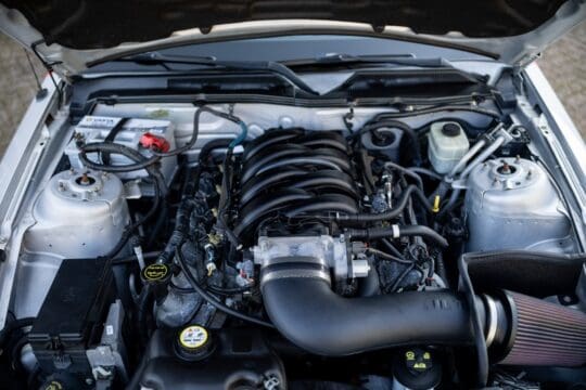 grijze mustang (5)_1600x1067