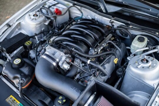 grijze mustang (7)_1600x1067