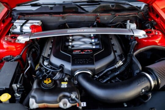 rode mustang (12)_1600x1067