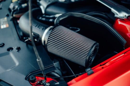 rode mustang (13)_1600x1067