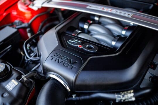 rode mustang (14)_1600x1067