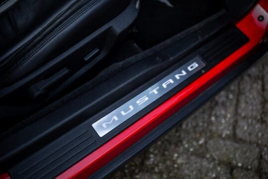 rode mustang (18)_1600x1067