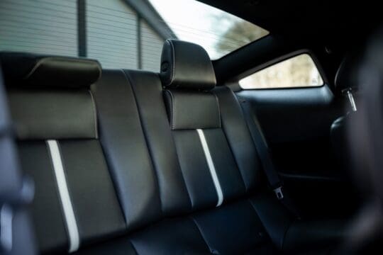 rode mustang (19)_1600x1067