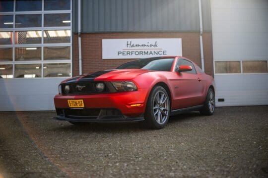 rode mustang (1)_1600x1067