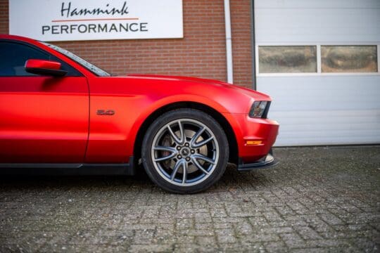 rode mustang (25)_1600x1067