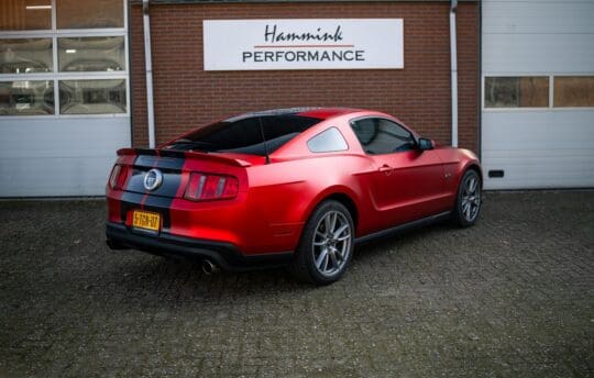 rode mustang (26)_1600x1018