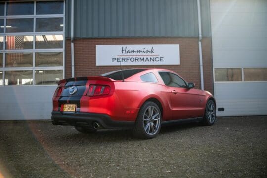 rode mustang (27)_1600x1067