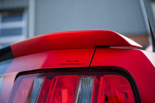 rode mustang (28)_1600x1067