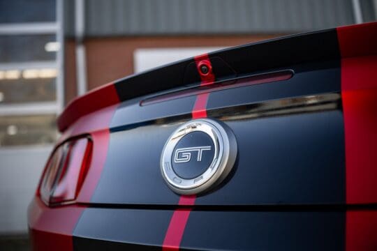 rode mustang (29)_1600x1067