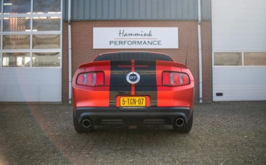 rode mustang (31)_1600x993